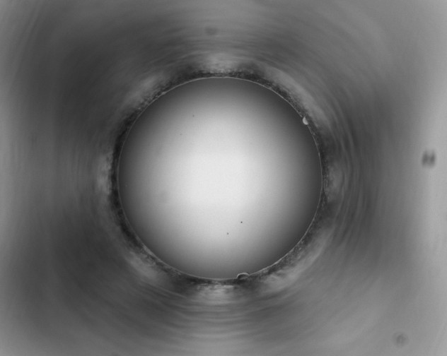 X0000103230497200808281434