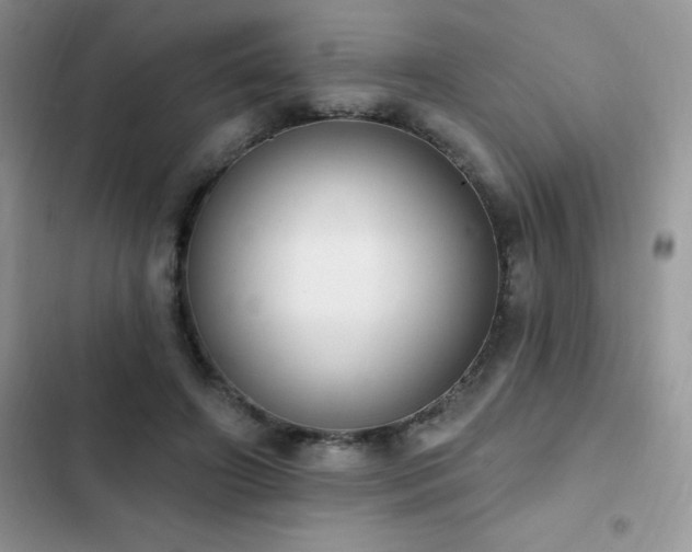 X0000103230498200808281434