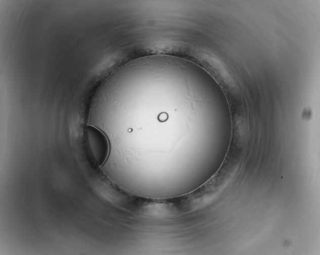 X0000103230499200808281434