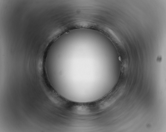 X0000103230500200808281434