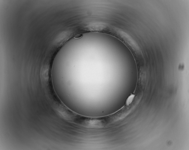 X0000103230501200808281434