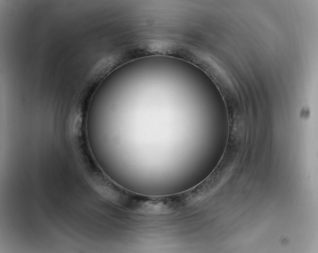 X0000103230502200808281434
