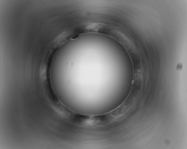 X0000103230504200808281434