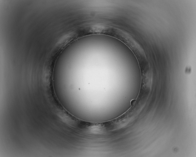 X0000103230505200808281434