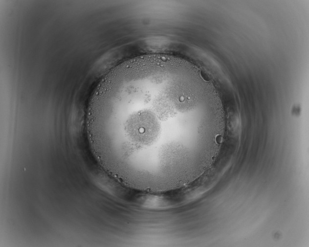 X0000103230507200808281434