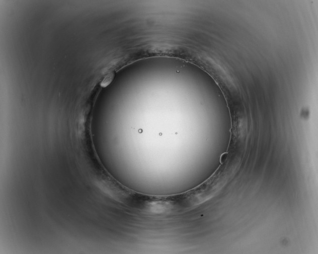 X0000103230508200808281434