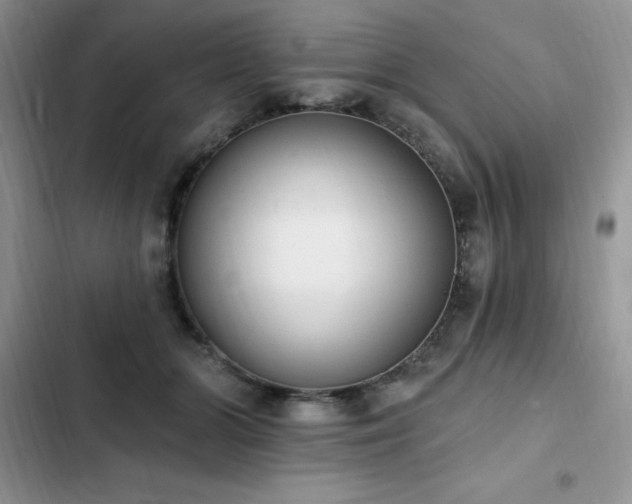 X0000103230510200808281434