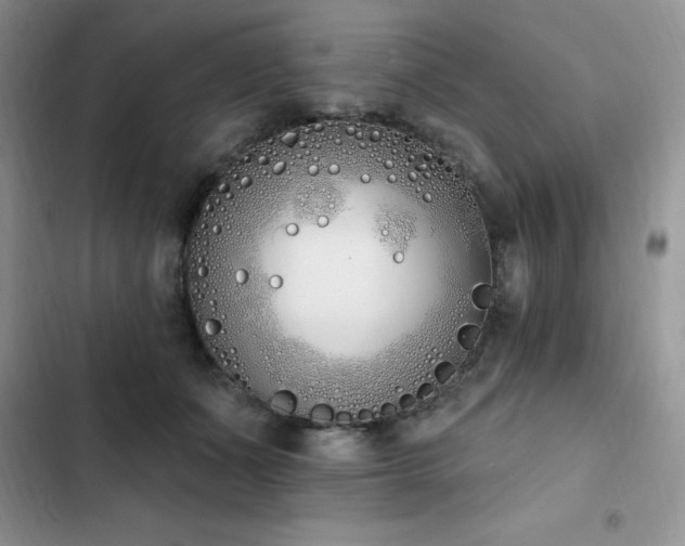 X0000103230511200808281434