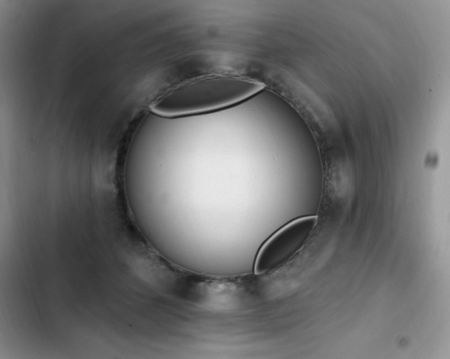 X0000103230512200808281434