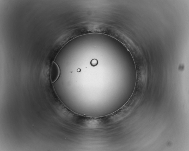 X0000103230513200808281434