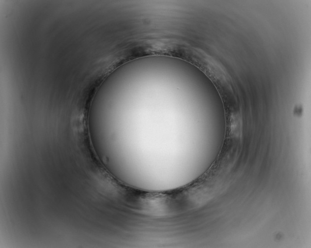 X0000103230514200808281434
