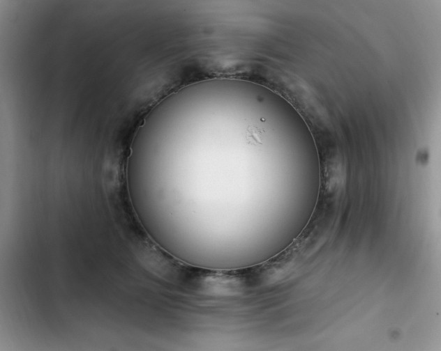 X0000103230515200808281434