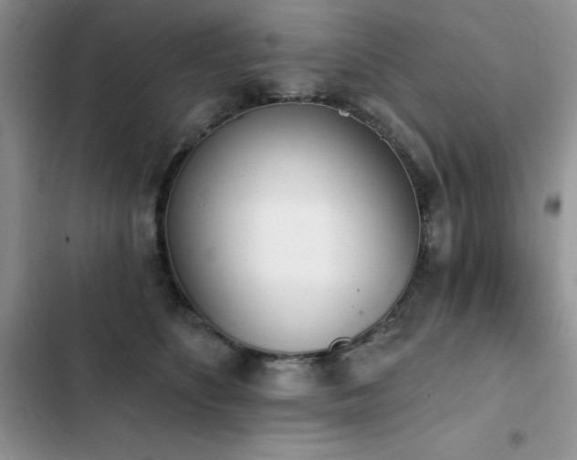 X0000103230516200808281434