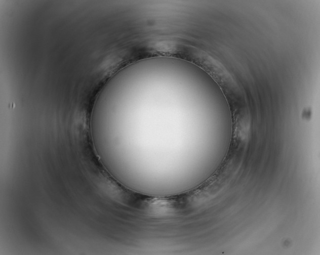 X0000103230518200808281433