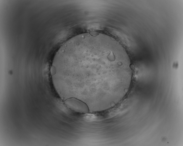 X0000103230519200808281433