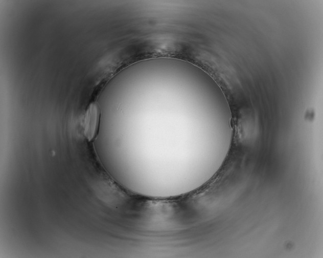 X0000103230520200808281433