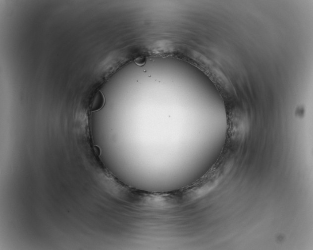 X0000103230523200808281433