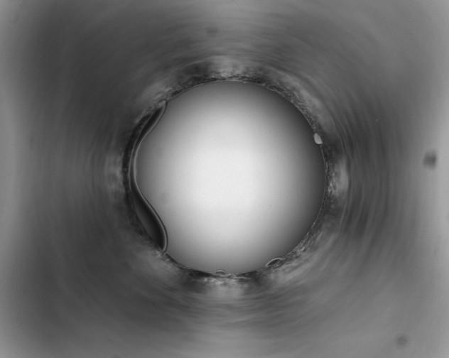 X0000103230524200808281433