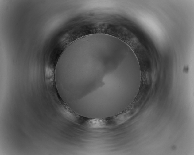 X0000103230526200808281433