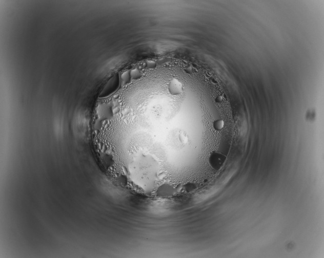 X0000103230527200808281433