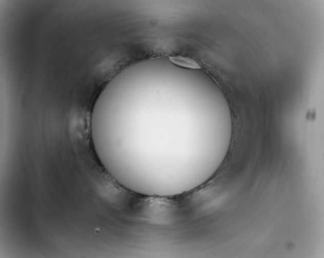 X0000103230528200808281433