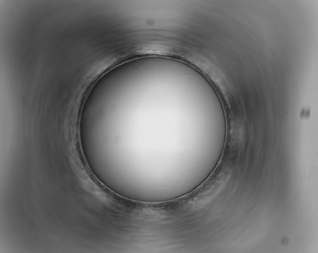 X0000103230529200808281432