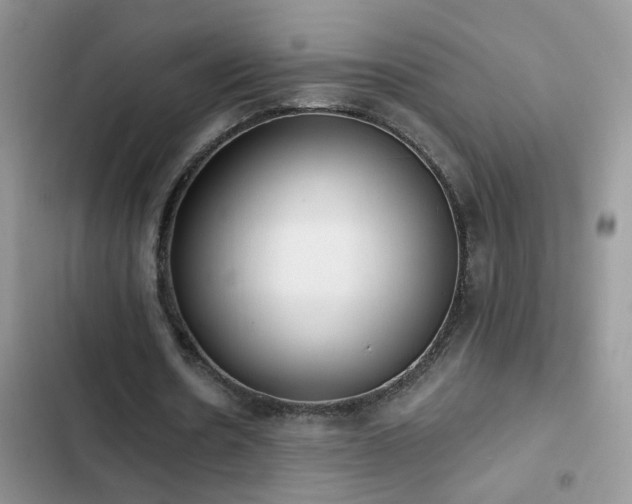 X0000103230530200808281432