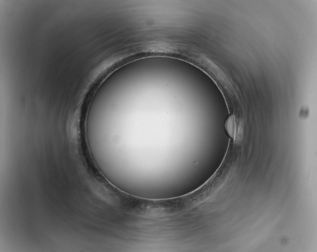 X0000103230531200808281433