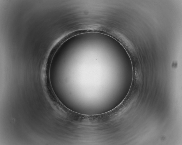 X0000103230532200808281433