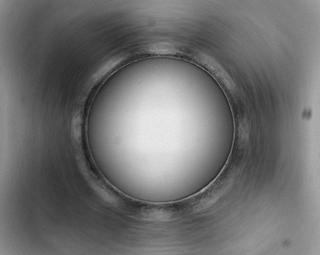 X0000103230533200808281433