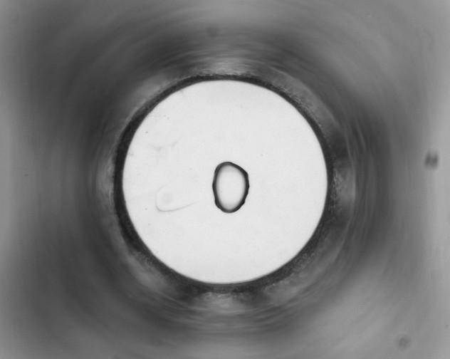 X0000103230534200808281433