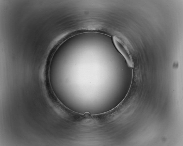 X0000103230536200808281433