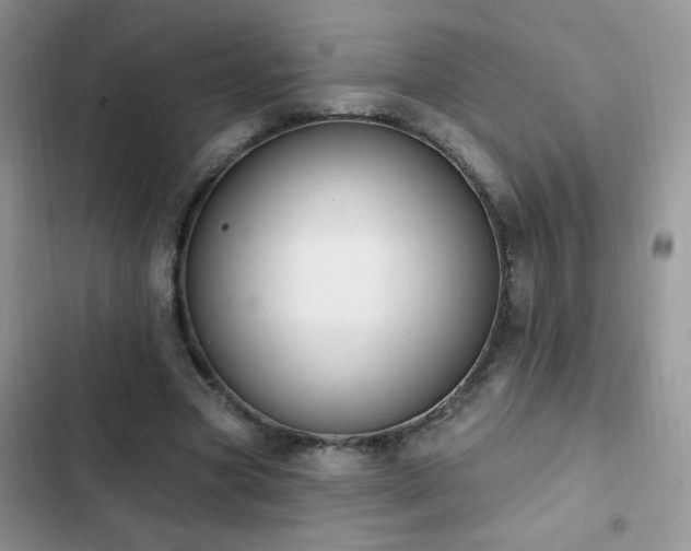 X0000103230537200808281433