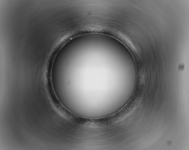 X0000103230538200808281433