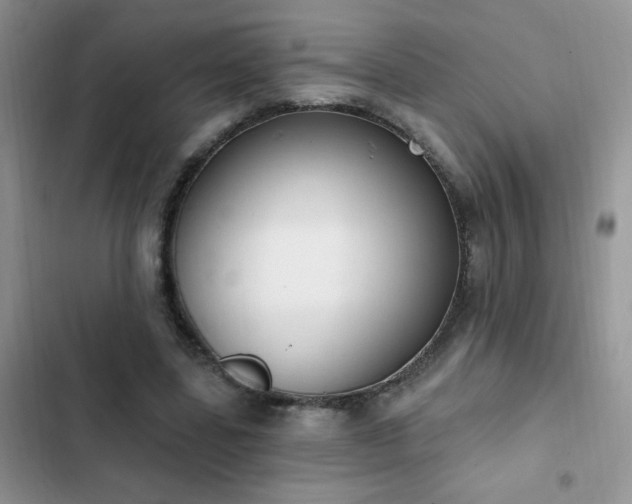 X0000103230539200808281433