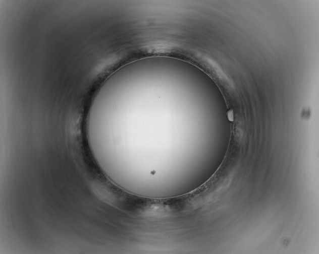 X0000103230543200808281433