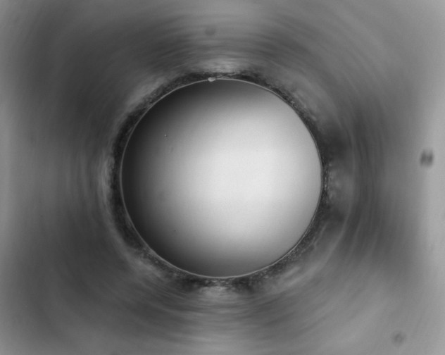 X0000103230544200808281433