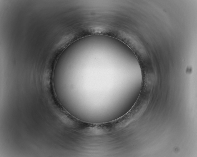 X0000103230545200808281433