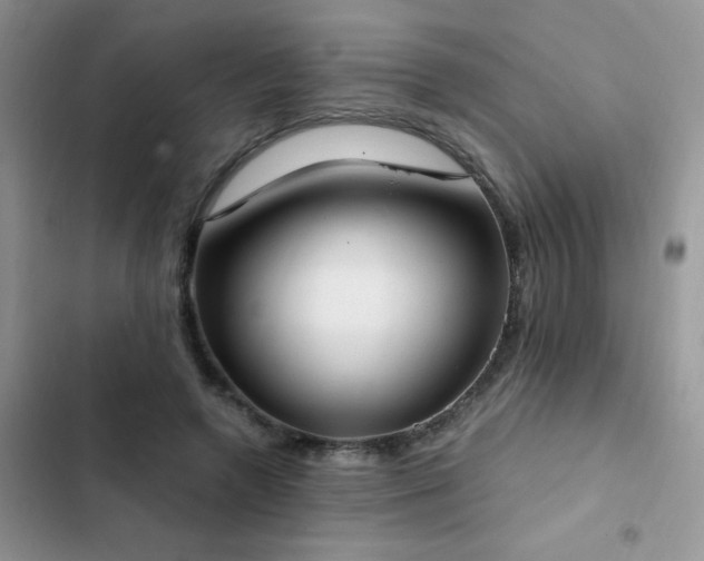 X0000103230546200808281433