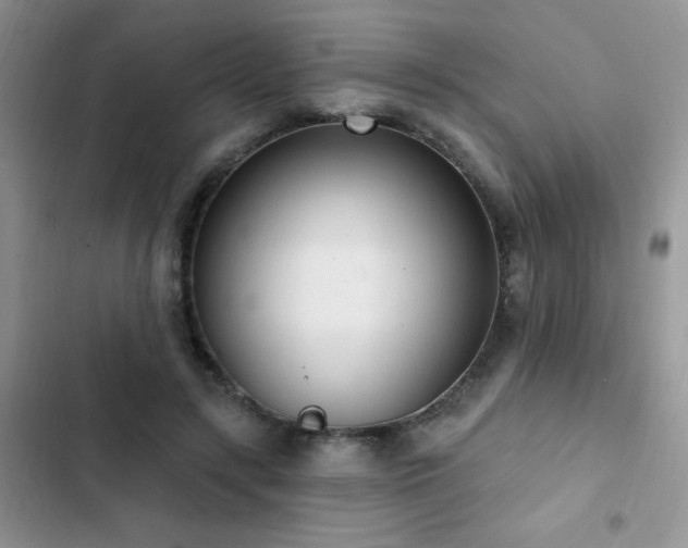X0000103230547200808281433