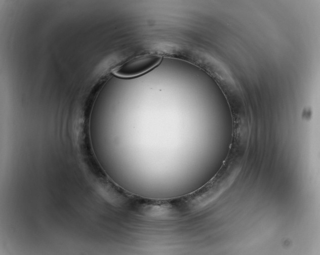 X0000103230548200808281433