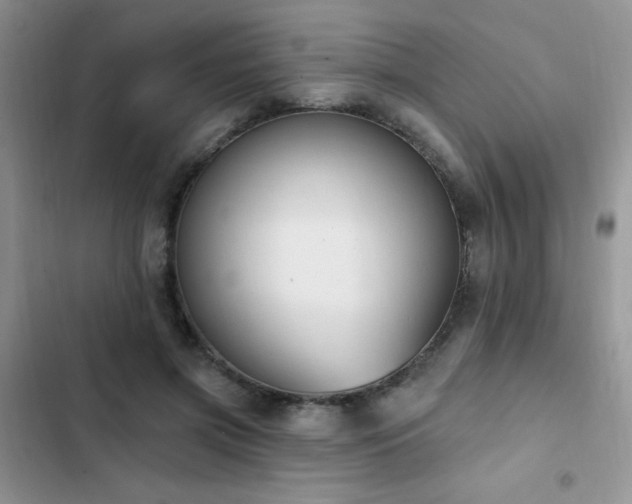 X0000103230549200808281433