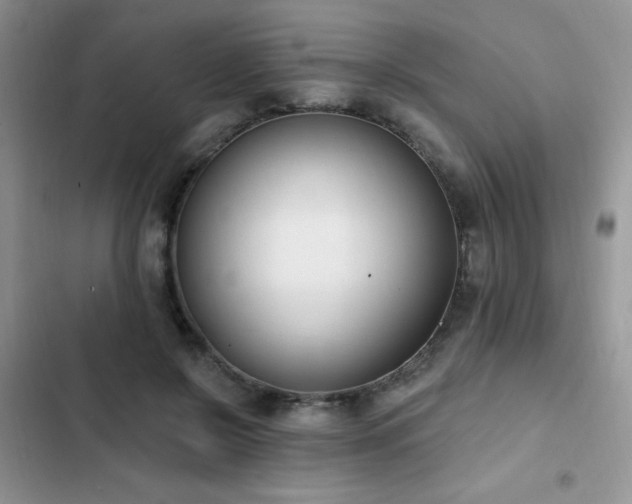 X0000103230550200808281433
