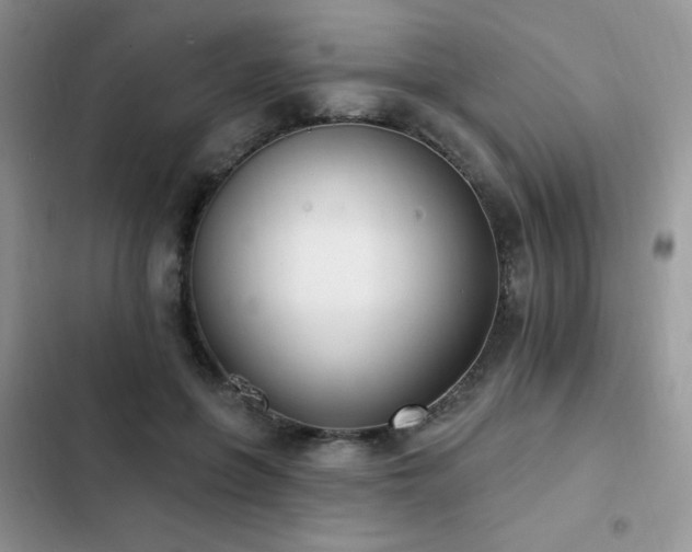 X0000103230551200808281433