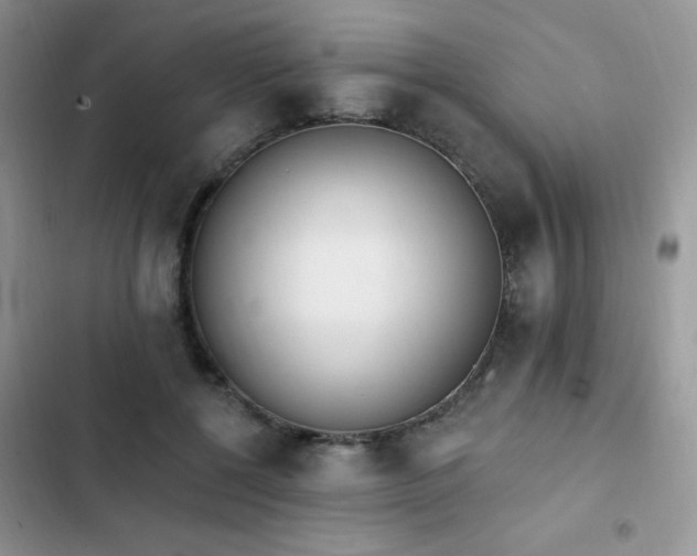 X0000103230552200808281433
