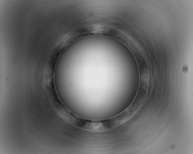 X0000103230554200808281433