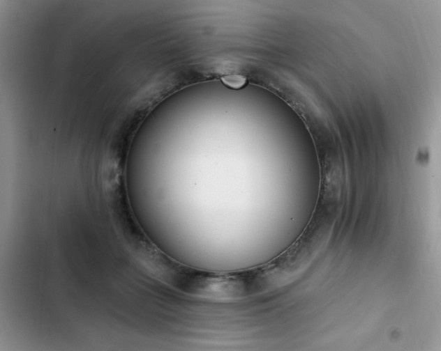 X0000103230555200808281433
