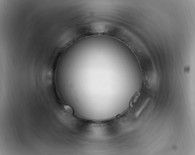 X0000103230556200808281433