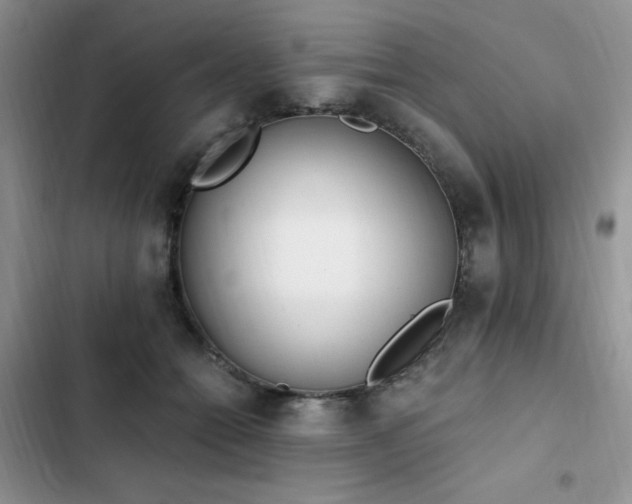 X0000103230558200808281433
