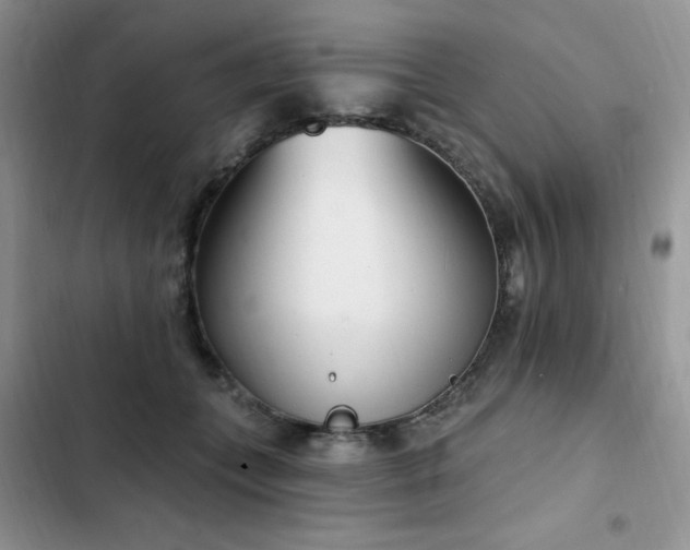 X0000103230559200808281433
